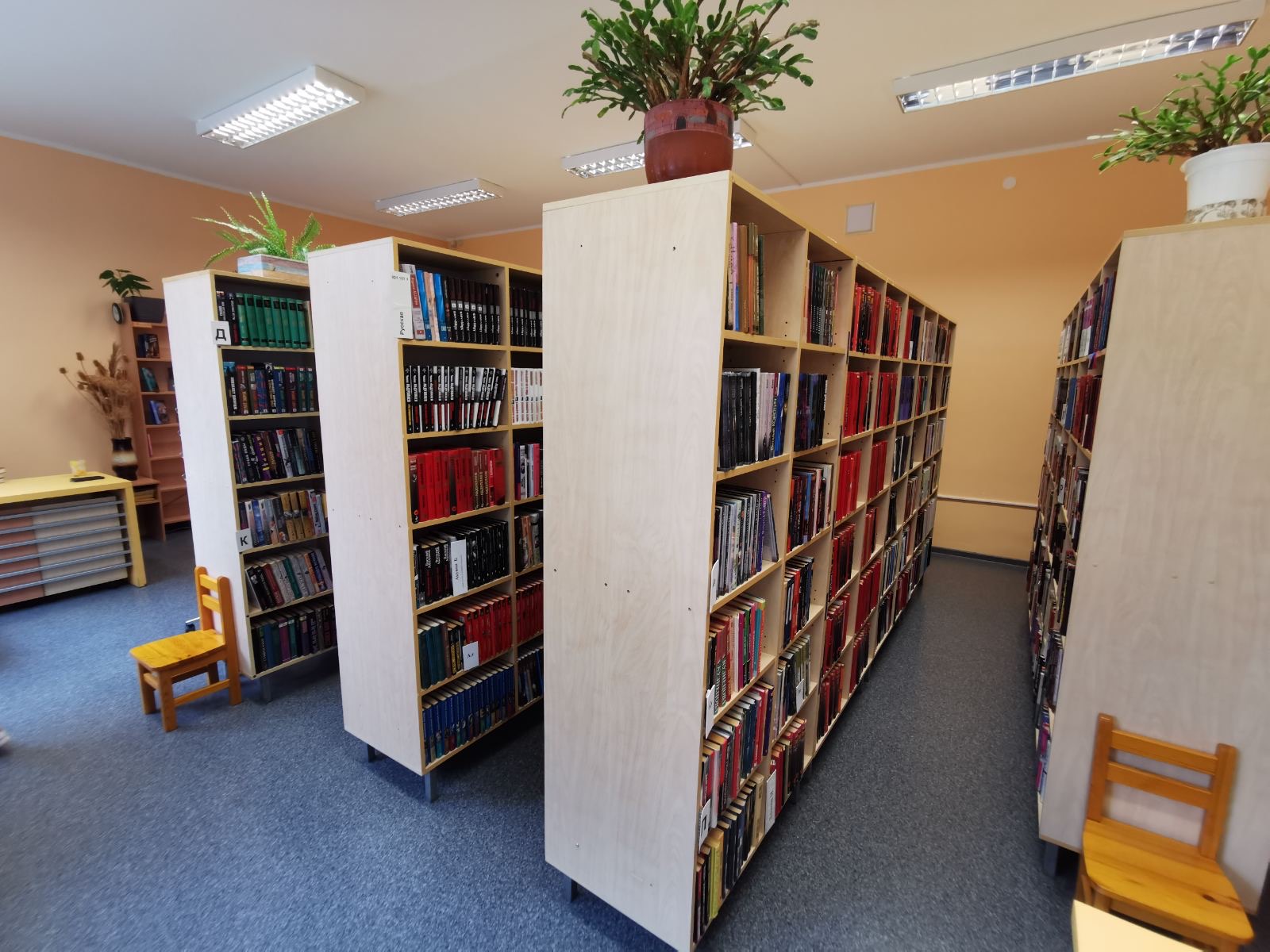 447899280 486089790599196 1089751276545502582 n